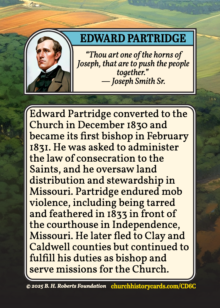 Back of card